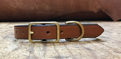 1" bridle leather dog collar with solid brass hardware